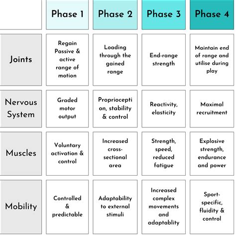 Rehabilitation Phases Progression Monageer Physiotherapy Clinic