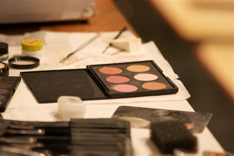 makeup blush kit  stock photo public domain pictures