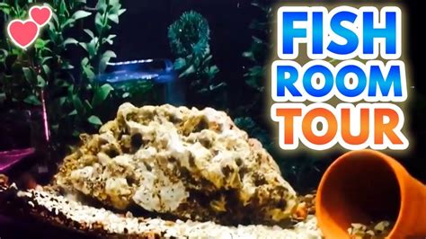 Fish Room Tour New Update 2018 Youtube