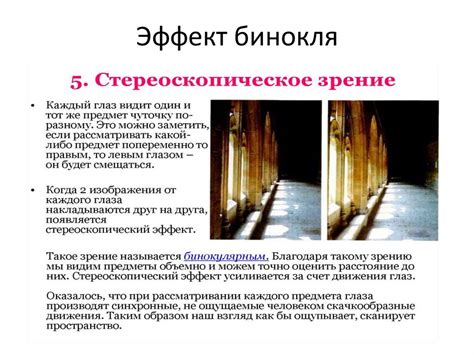Зрительное восприятие и познание (лекция 2) - презентация онлайн