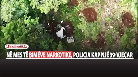 Në mes të bimëve narkotike policia kap një 39 vjeçar duke u kujdesur