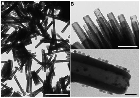 Bioinspired Membrane For Energy Conversion A Illustration