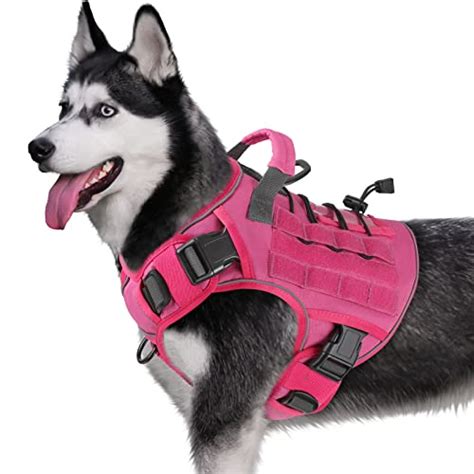 Best Husky Dog Harness 2024 Vet Ranch We Love Pets