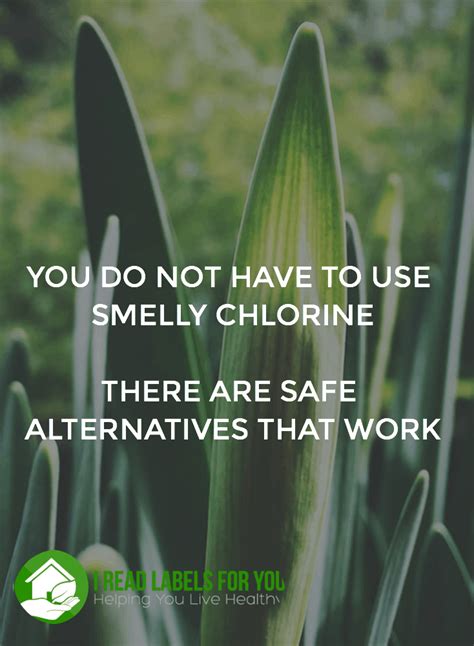 Chlorine Bleach Alternatives That Work| I Read Labels For You