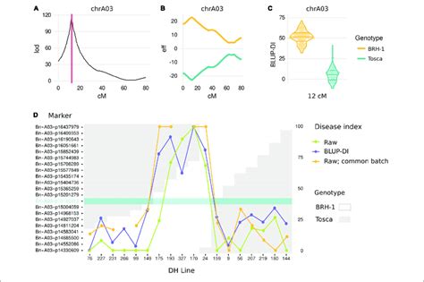 | Results of genetic mapping. (A) LOD score for QTL presence along the ...
