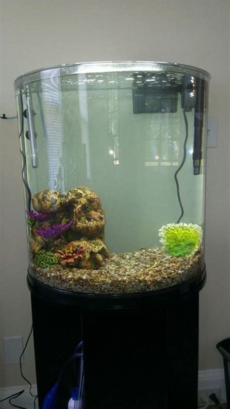 Setting Up A Freshwater Aquarium A Guide For Beginners Pethelpful