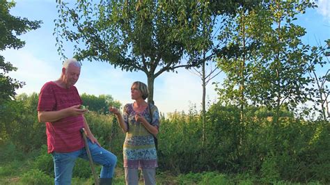 Wijks Voedselbos Open Tijdens De Open Voedselbossen Dag Op 24 Augustus