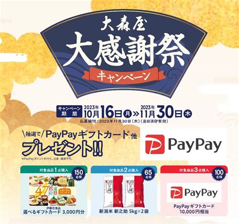 Yahooオークション 懸賞 応募 大森屋 Paypay ギフトカード 10000円