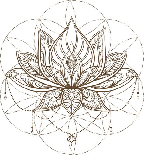 Mandala Flower Meanings Myths And Cultural Significance Petal Republic