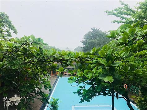 Hotel Tree of Life, Kandy | 2022 Updated Prices, Deals