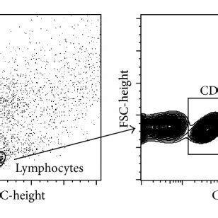 Transcription factors and cytokines in T helper cells from active ...