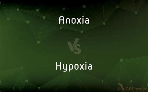 Anoxia vs. Hypoxia — What’s the Difference?