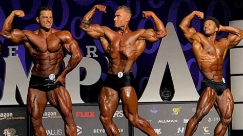mens bodybuilding categories  divisions explained spotmebrocom