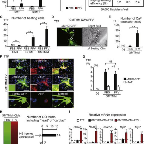 Human Pluripotent Embryonic Stem Es And Embryonic Germ Eg Cells