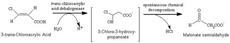 Eawag Bbd Reaction Reacid R0689