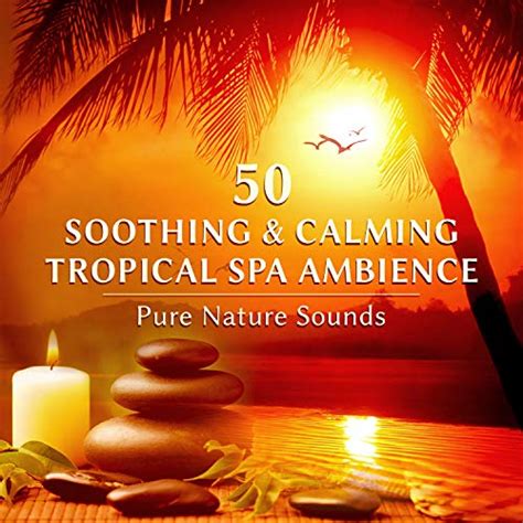 Spiele 50 Soothing Calming Spa Ambience Pure Nature Sounds Wellness