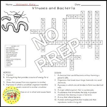 Viruses And Bacteria Crossword Puzzle By Teaching Tykes TpT