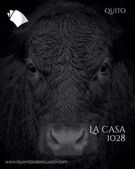 Leyenda De La Casa 1028 La Historia De Bella Aurora