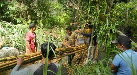 Perhutanan Sosial Perkumpulan Imunitas Sulawesi Tengah