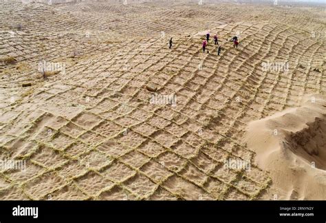 Anti Desertification Hi Res Stock Photography And Images Alamy