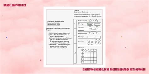 Mendelsche Regeln Aufgaben Mit Losungen Maximieren Sie Ihre Effizienz