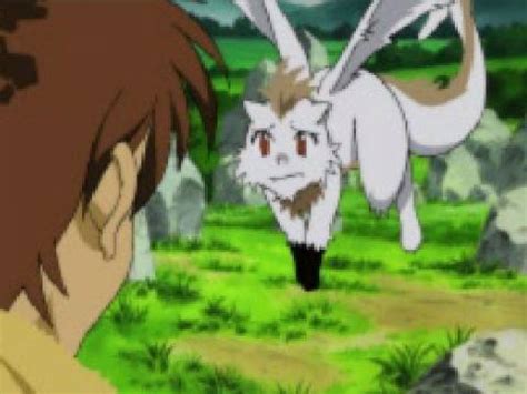 nall character giant bomb