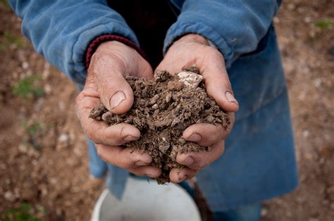 Festival Di Legambiente L Amore Per La Terra E La Lotta Al Consumo Di