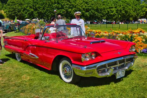 60+ Red Ford Thunderbird Stock Photos, Pictures & Royalty-Free Images ...