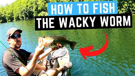 How To Fish The Wacky Worm Wacky Rig Bass Fishing YouTube