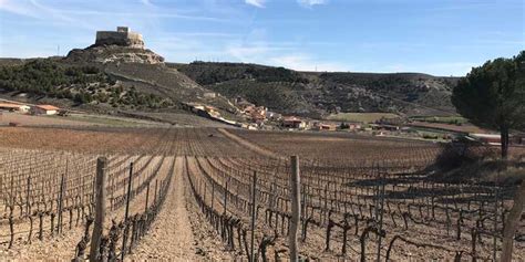 Qu Son Las L As Y Para Qu Sirven Bodegas Comenge