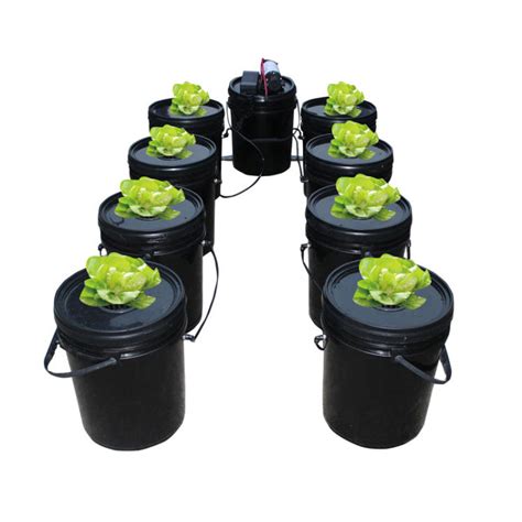 Best Eco Farm Dwc Hydroponics Growing Systems Kits 8 Buckets For Sale