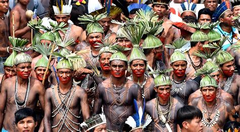 Brazil Indigenous Peoples Indigenous Peoples Literature