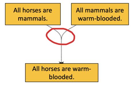 Week Argument Mapping Flashcards Quizlet