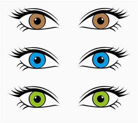 Eye Color Clipart - Blue Eyes Brown Eyes Cartoon , Free Transparent ...