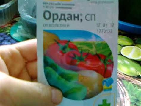 Ордан - защита от фитофторы и не только. Преимущества препарата. - YouTube