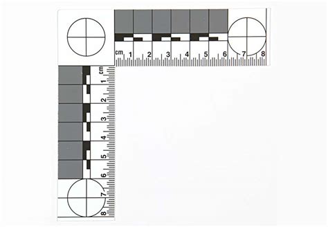 Bvda Photograhic Rulers And Scales