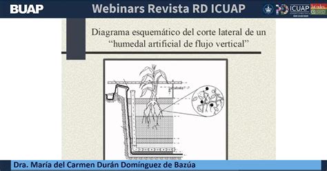 Tu Blog De Bioinform Tica De Secuencias Biol Gicas Instala Tu Humedal