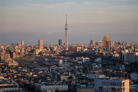 北とぴあ展望ロビーの夜景情報（行き方・入場料金・営業時間など）