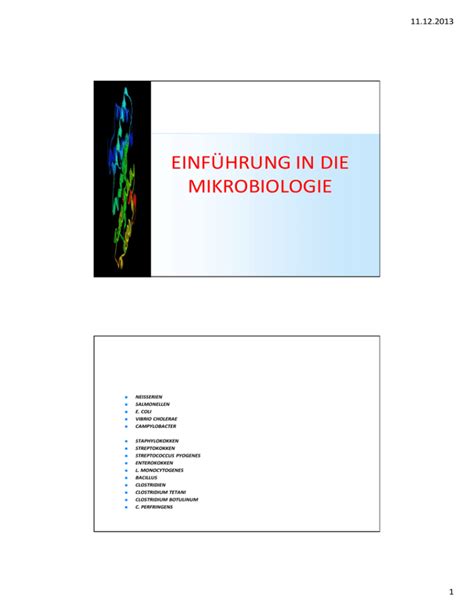 EINFÜHRUNG IN MIKROBIOLOGIE