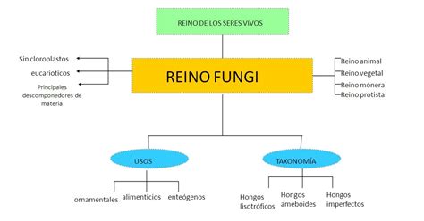 Get Mapa Conceptual Sobre El Reino Fungi The Latest Mantica Hot Sex