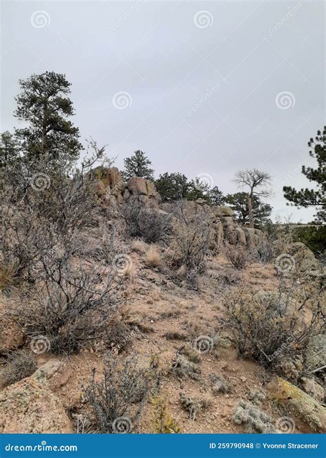 Ruta Natural De La Cala De Brocha En Otoño Hynds Road Cheyenne Wyoming
