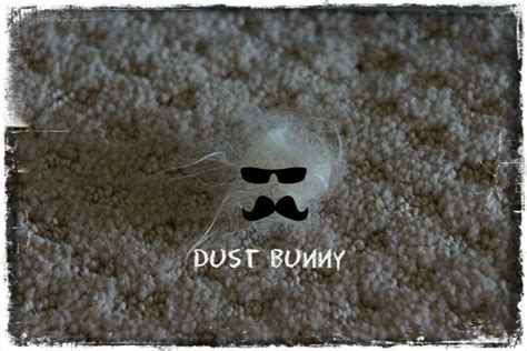 My Favorite Dust Bunny Miss Flibbertigibbet