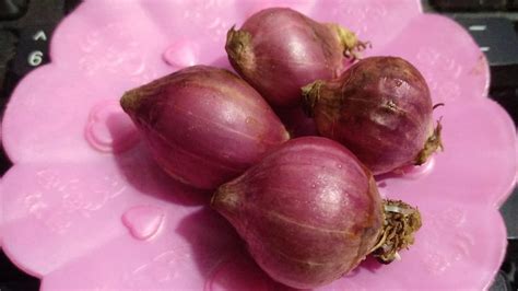 Bawang Merah Tak Sekedar Bumbu Dan Pelengkap Masakan Tapi Baik Untuk