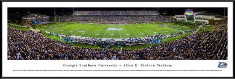 Georgia Southern Eagles Panoramic Picture - Paulson Stadium | Georgia ...