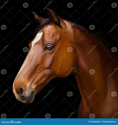 Hyper Realistic Digital Painting Of A Horses Head Stock Illustration