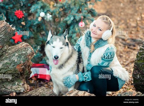 Blonde Husky