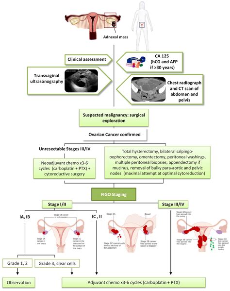 IJMS Free Full Text Recent Progress In Gene Therapy For Ovarian Cancer