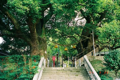 Nagasaki Peace Park and Atomic Bomb Museum, Private Tour — NAGASAKI Odyssey