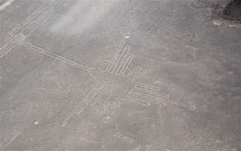 Scientists Have Re-Identified The Ancient Markings Of The Nazca Lines ...