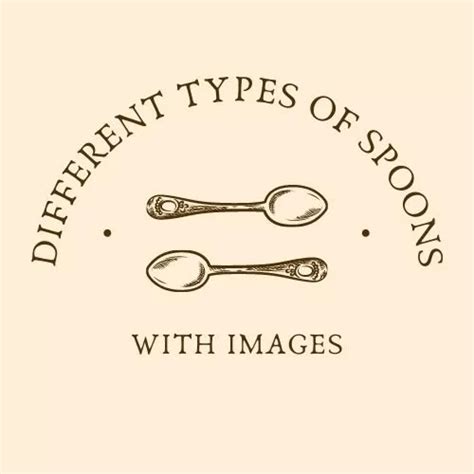 13 Different Types Of Spoons With Images